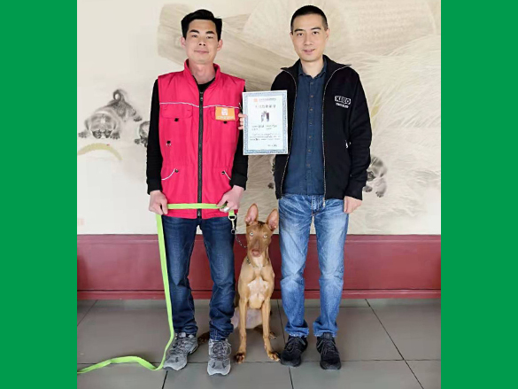 天才班：阿尔法同学